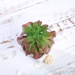 Set of 3 5″ tall Assorted Faux Echeveria Succulent Plants with Off White Pots
