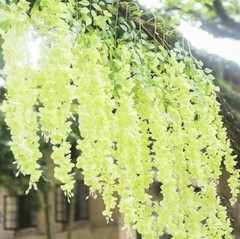 3 Pack Of 12 Each Wisteria Hanging Flowers 3.77 Feet Artificial Green New