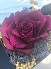 Best Wishes, Preserved Purple Rose With White Lights (In Drawer) Happiness gift