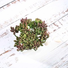 Set of 3 7″ tall Assorted Faux Cute Succulent Plants with Off White Ceramic Pots