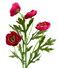 21″ Ranunculus Spray, 4 Heads, Artificial Silk Wedding Flowers Fake Faux Stems