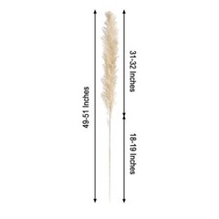 6 WHEAT 49″ Natural Pampas Grass SPRAYS Dried Plant STEMS Party Home Decorations
