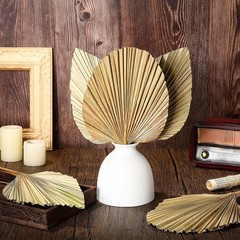 5 Pcs Natural Dried Palm Leaves 12″ Real Dried Palm Spears Bulk Boho Fans wit…