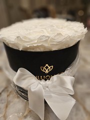 The Million Roses Los Angeles – 18 WHITE ROSES – PLEASE READ DESCRIPTION!