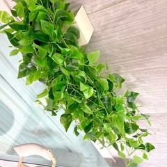 3 Green Silk Pothos Artificial Hanging Plants Party Events Decorations Supplies