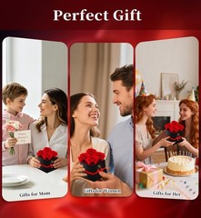 Gifts for Mom Birthday Women Preserved Rose Forever 4 Roses, Red