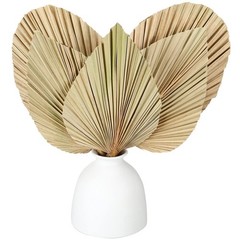 5 Pcs Natural Dried Palm Leaves 12″ Real Dried Palm Spears Bulk Boho Fans wit…