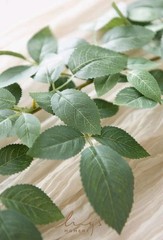 Ling’s Moment Artificial Rose Leaf Greenery Garland – 6 Pack, Candle Vines, Faux
