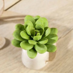 Set of 3 3″ tall Assorted Faux Succulent Picks Sprays Stems Wedding Decorations