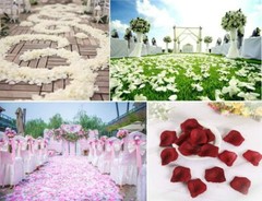 1000 Silk Rose Petals Fake Flowers Confetti Engagement Wedding Romantic Decor US