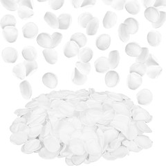 Suream Silk Flower Petals for Wedding, Purple Flower Girl Petals for Decoration,
