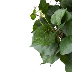 Darice 22″ Green Decorative Floral Arrangement Filler Artificial Pothos Bush