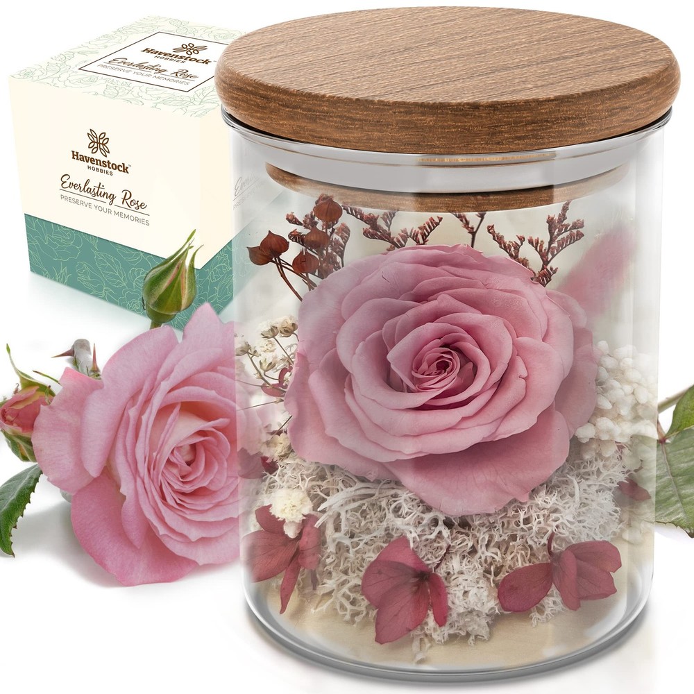 Havenstock Pink Rose in a Glass Dome – Premium Real Roses That Last