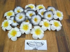 Bali Frangipani Neoprene/Foam Flowers x 20(white/black) Wedding,Decoration x 7cm