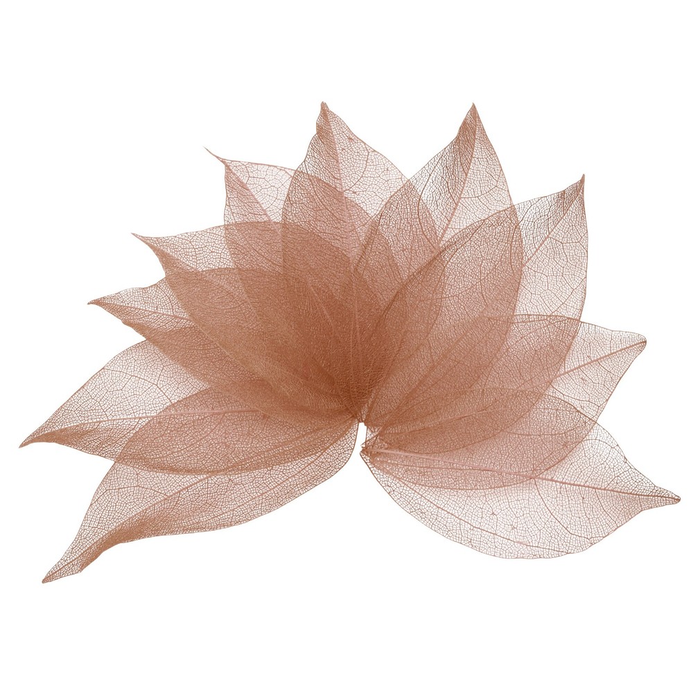 100Pcs Dark Coffee Skeleton Leaves 2″- 3″ Rubber Tree Scrapbooking