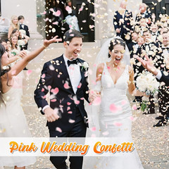 180 PCS Real Pink Dried Rose Petals Confetti for Wedding, 1.75Oz Freeze Rose Pet
