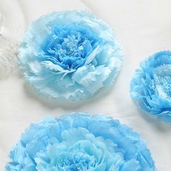 6 pack 7″ 9″ 11″ Aqua Blue Tissue Paper Carnation Flowers Home Backdrop