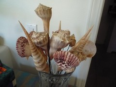 3 Seashell Bouquet Picks Beach Wedding Flower Inserts Floral Bouquet home decor