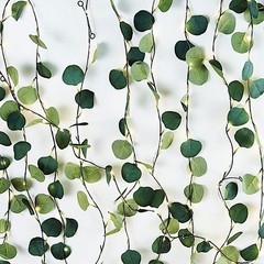 32 ft Green LED Eucalyptus Leaves Garland Battery Operated Wedding Fairy Lights