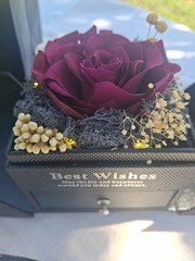 Best Wishes, Preserved Purple Rose With White Lights (In Drawer) Happiness gift