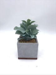 Seirai Living Co. Green (Qty 3), 8″ Artificial Faux Succulent Plants Pots, NIB