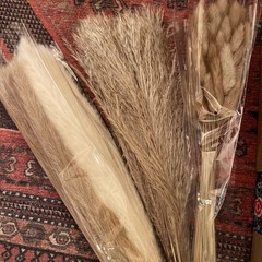 NEW Anthropologie 100 Piece Dried Neutral Pampas Grass Boho Decor Flowers Reeds