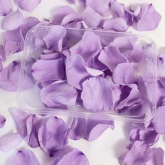 Dried Real White Rose Petals 2.1oz Freeze Preserved Flower Petals Valentine’s