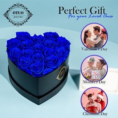 Otuo 16 Preserved Roses in Heart-Shaped Box, Flowers for 16 Roses, Blue