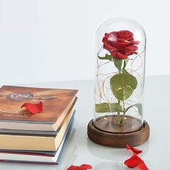 SW Preserved Rose Enchanted Red Silk in Glass Dome with LED
