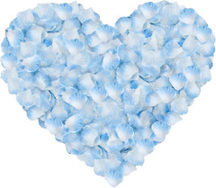 1000 piezas de pétalos de rosa de seda artificiales decoración boda