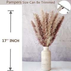 Hierba De Pampa 110PCS Flores Secas Hierba De Caña Hierba De Cola De Conejo NEW