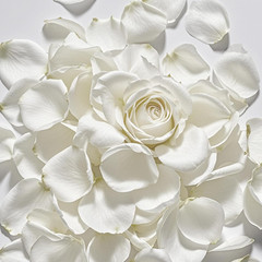 3.5 Oz Dried Rose Petals Wedding Biodegradable Petals, Natural Preservation Real