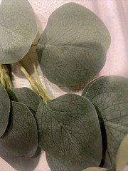 Party Joy Hand Made Eucalyptus Garland New. 3 Pieces 3 FT Each. Wedding/Xmas