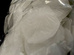 Valentine Anniversary & Wedding Celebration White Silk Rose Petals Package (300)