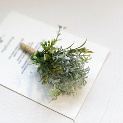 Set of 6 Succulent Boutonniere for Men Wedding, Greenery Plants Boutineers for G