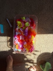 Assorted Multicolored Artificial Silk Rose Petals in Storage Container