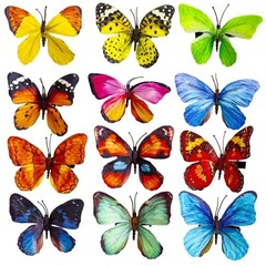 -Decorative Butterfly Clips, 3Drtificial Silk Butterflies, Multicolor, Small A