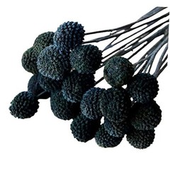 20Pcs Natural Dried Flowers Billy Balls Flowers 16″ Dried Flower Bouquet Black