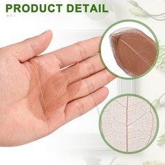 100Pcs Dark Coffee Skeleton Leaves 2″- 3″ Rubber Tree Scrapbooking