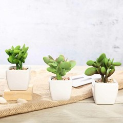 Green 3 Assorted 3″ Faux Small Succulent Plants Pots Wedding Centerpieces