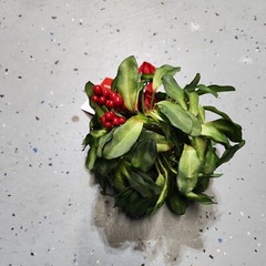 6 pcs Ganz Kissing Krystals Acrylic Small Mistletoe Kiss Ball 7″ Ornament $60