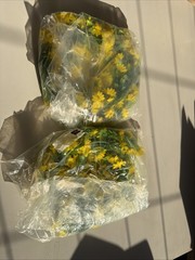 Uxcell Garland Artificial Yellow Flower Vines 2 Pack