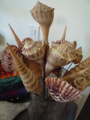 3 Seashell Bouquet Picks Beach Wedding Flower Inserts Floral Bouquet home decor
