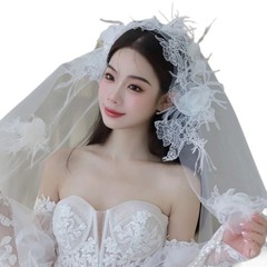Wedding Veil Flower Feather Short Veil Bride Hair Accessoies White Lace Sheer