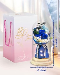 Gifts for Mom, Mothers Day from Husband Daughter Son, Birthday Women Wife Gifts.