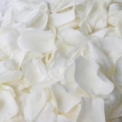 Natural Rose Petals Real Dried Flowers Weddings Parties Romantic Decor New