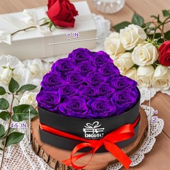 Extra Large 16 Preserved medium -7inch with Necklace, Purple