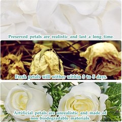 Dried Rose Petals Wedding Decor Romantic Nights Crafts Engagement Celebrations