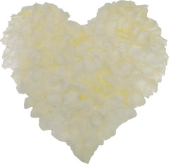 1500 PCS Separated Artificial Ivory Rose Petals,Ivory Silk Petals for Romantic N
