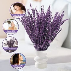 Dried Preserved Lavender Flowers Bundle-Natural Dried Lavender Purple-2.82oz